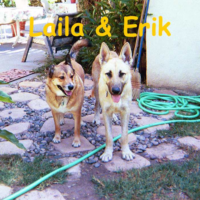 Picture of Erik and Laila in the BAck Yard