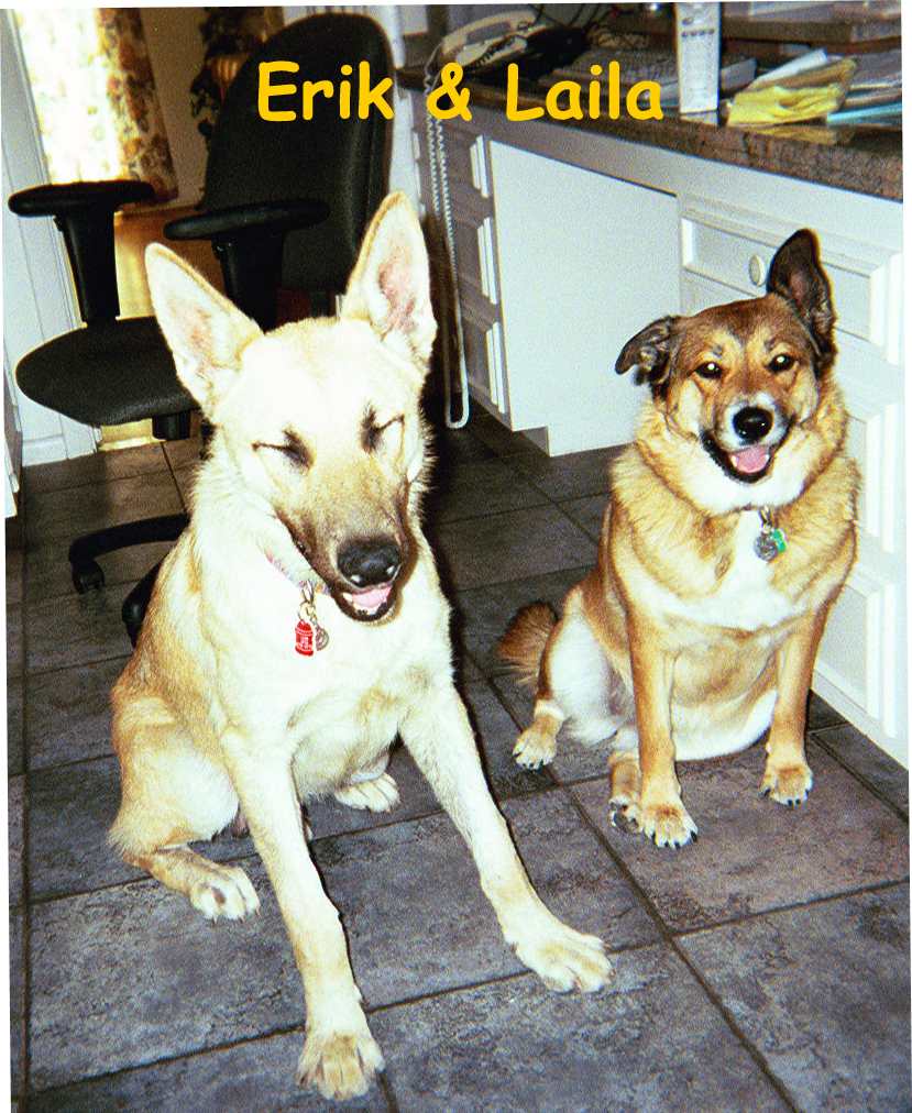 Erik and Laila in the Kitchen