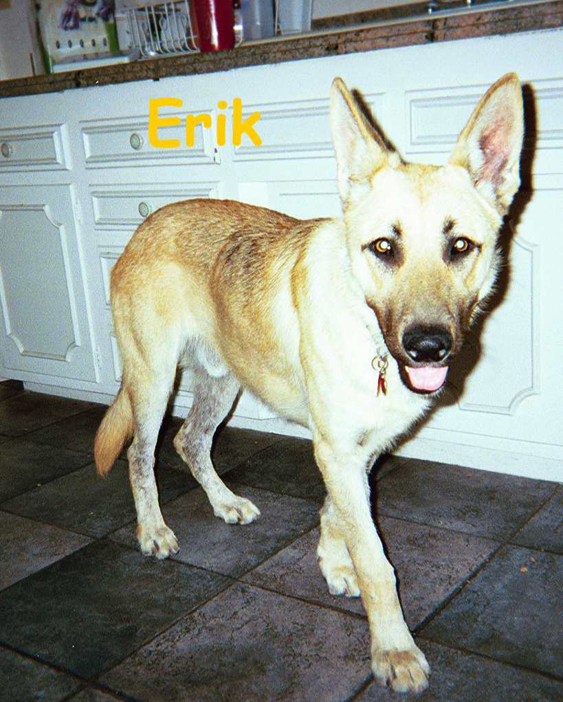 Erik in the Kitchen