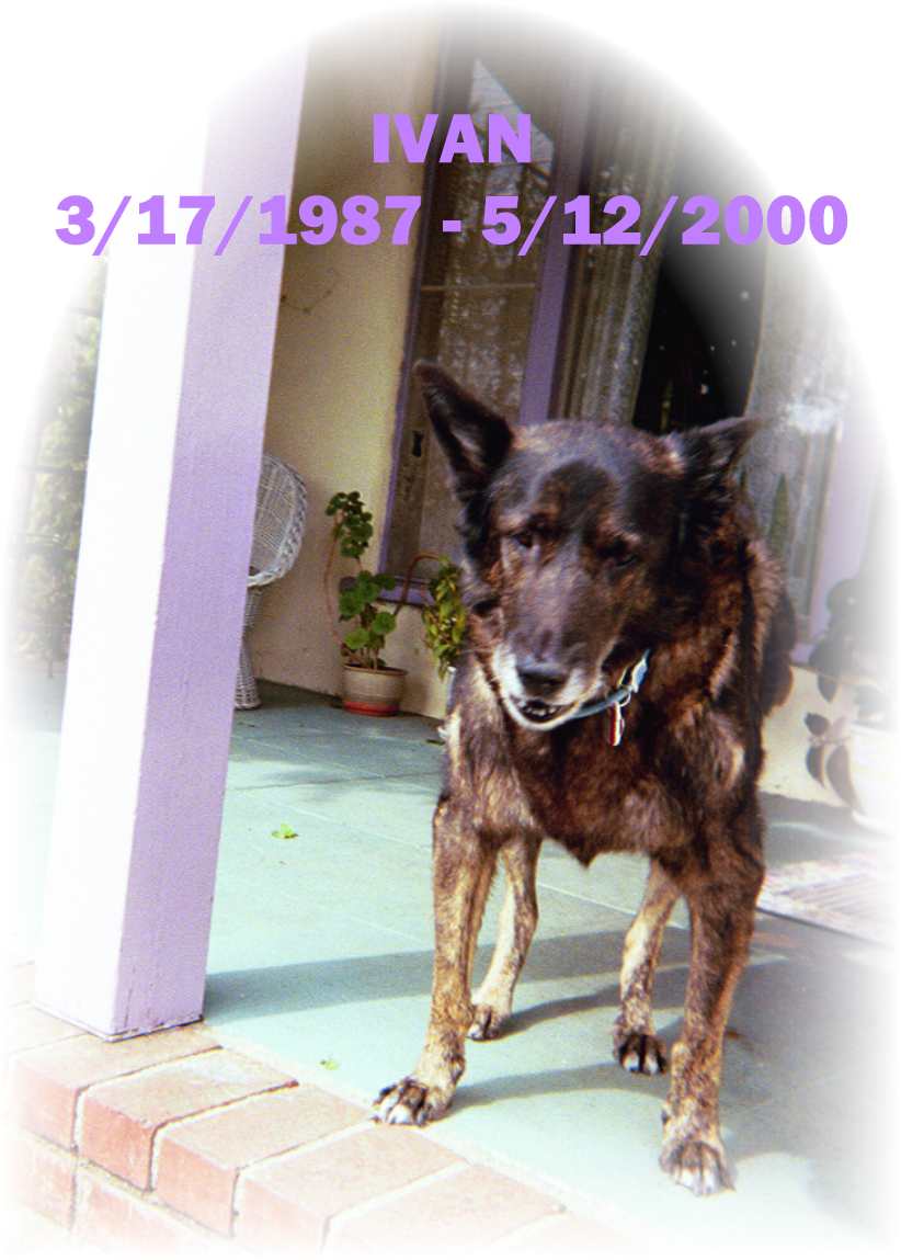 Ivan's Last Picture around 4 days before his demise